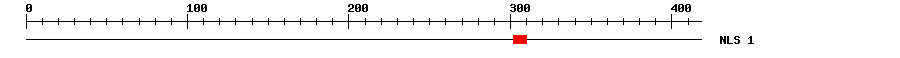NLS