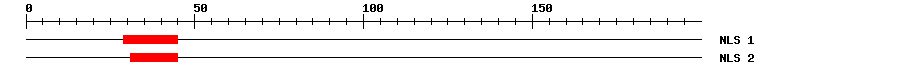 NLS