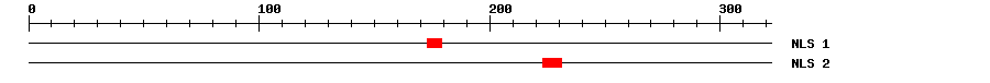 NLS