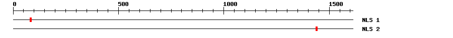 NLS