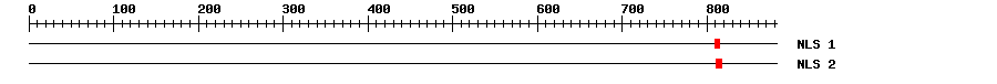 NLS