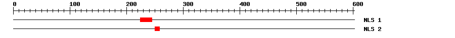 NLS