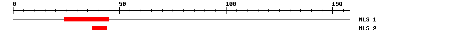 NLS