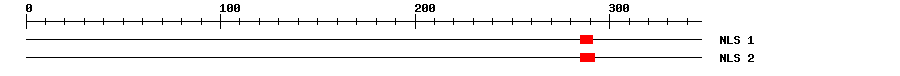 NLS