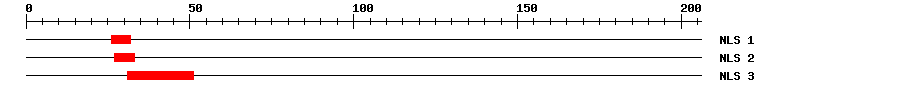 NLS