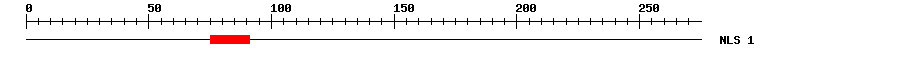 NLS