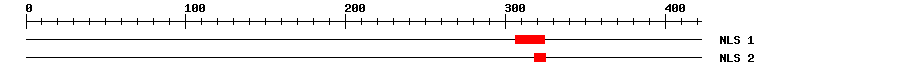 NLS