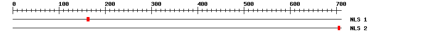 NLS
