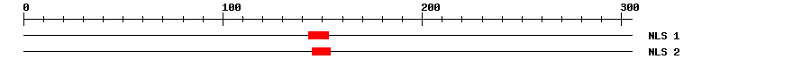 NLS