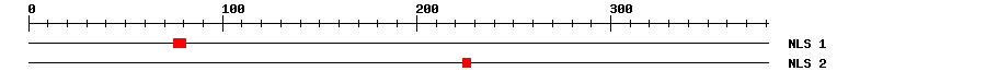 NLS
