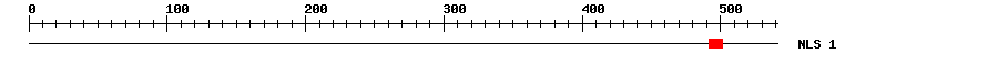 NLS