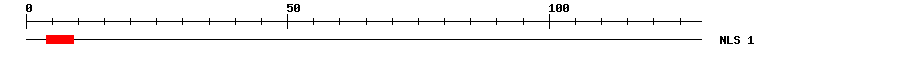 NLS