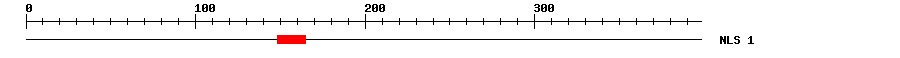 NLS