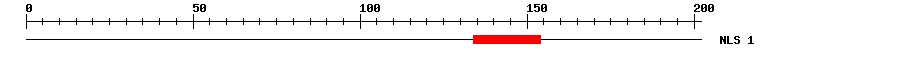 NLS