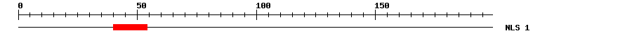 NLS