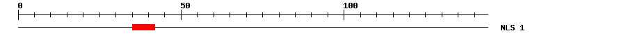 NLS