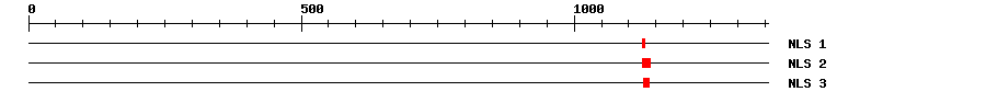 NLS