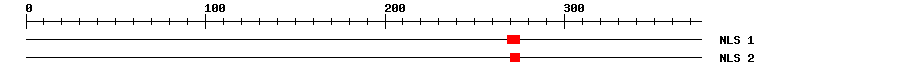 NLS