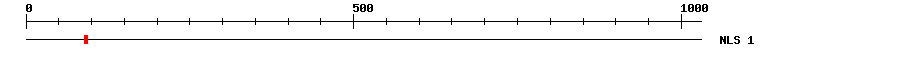 NLS