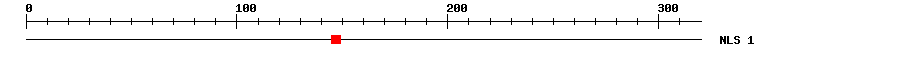 NLS