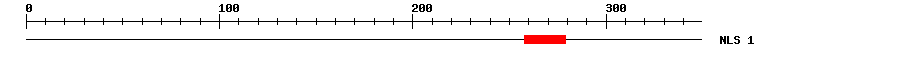 NLS