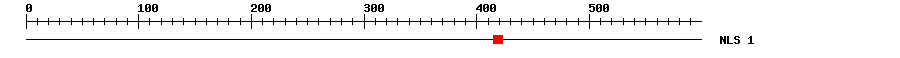 NLS