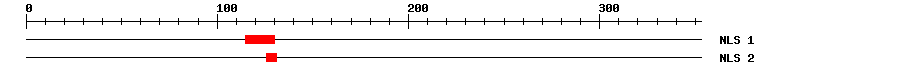 NLS