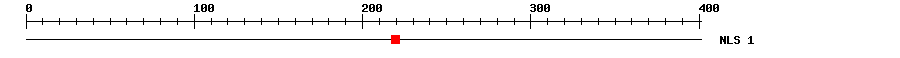 NLS