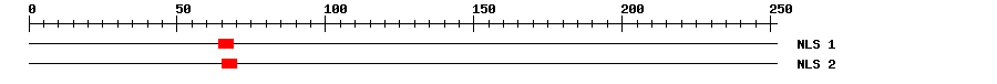NLS