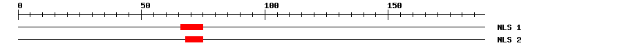 NLS
