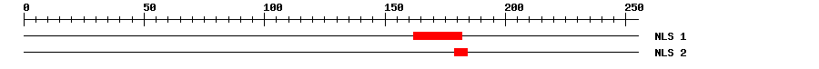 NLS