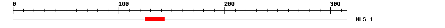 NLS