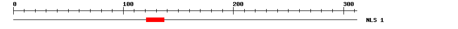NLS
