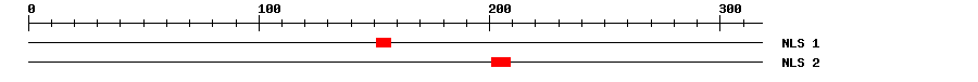 NLS
