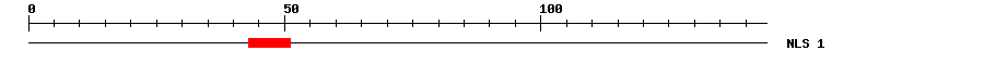 NLS