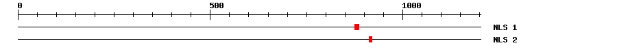 NLS