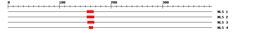 NLS