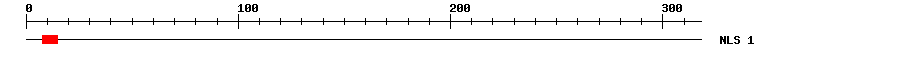 NLS