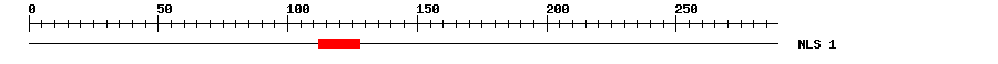NLS