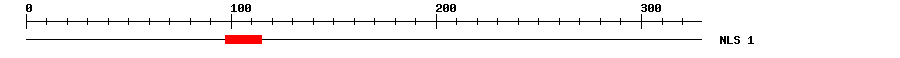 NLS