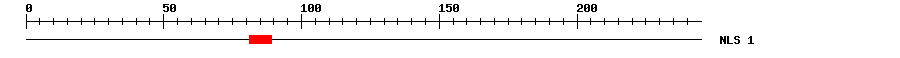 NLS