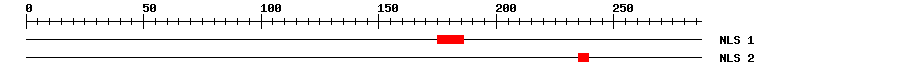 NLS