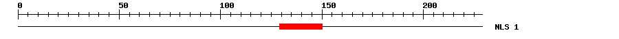 NLS