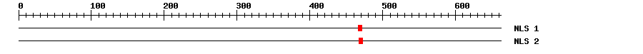 NLS
