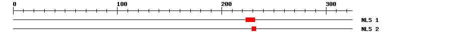 NLS