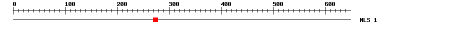NLS