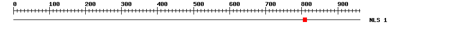 NLS