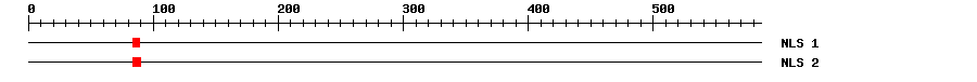 NLS