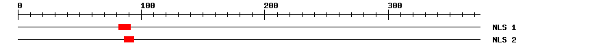 NLS