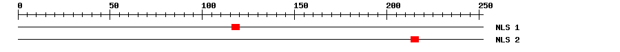 NLS